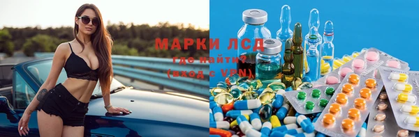 стаф Абинск