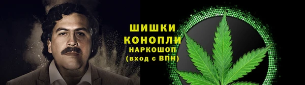 стаф Абинск