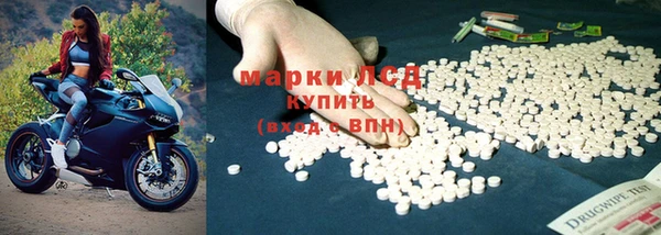 стаф Абинск