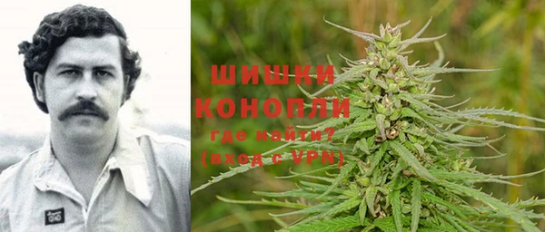стаф Абинск