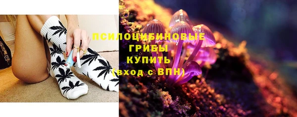 стаф Абинск
