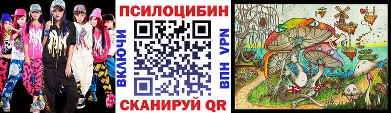 Псилоцибиновые грибы GOLDEN TEACHER  kraken сайт  Тайга  как найти  